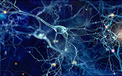 Synapses visualized on a dark background