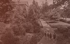 Students walking along a brick path