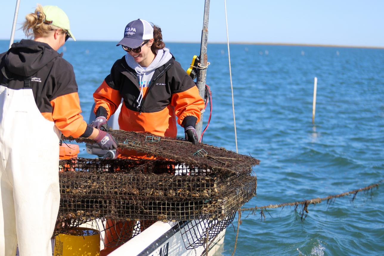 women researching on boat